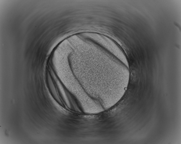 X0000092061523200710101024