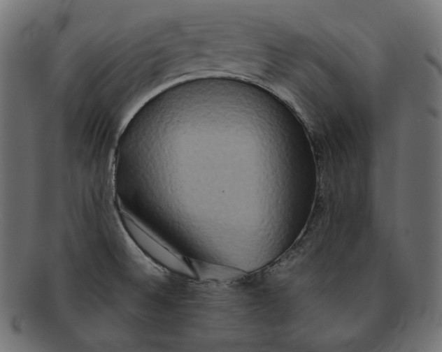 X0000092061524200710101024