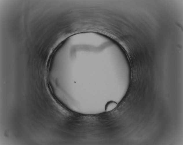 X0000092061525200710101024