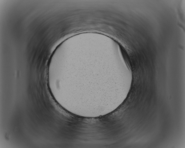 X0000092061526200710101024