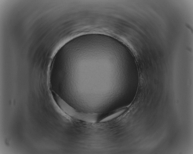 X0000092061528200710101024