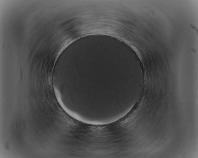 X0000092061529200710101024