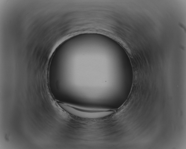 X0000092061530200710101024