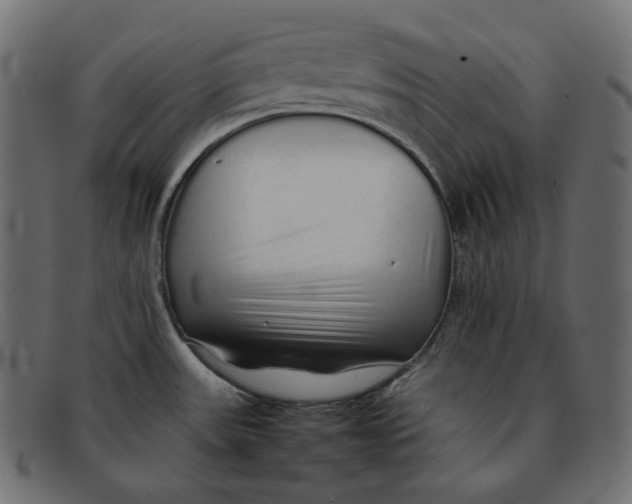 X0000092061531200710101025