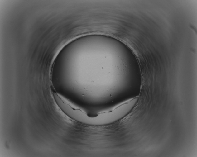 X0000092061532200710101025