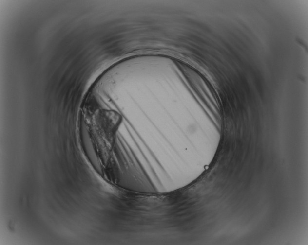 X0000092061533200710101025