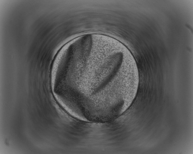 X0000092061534200710101025