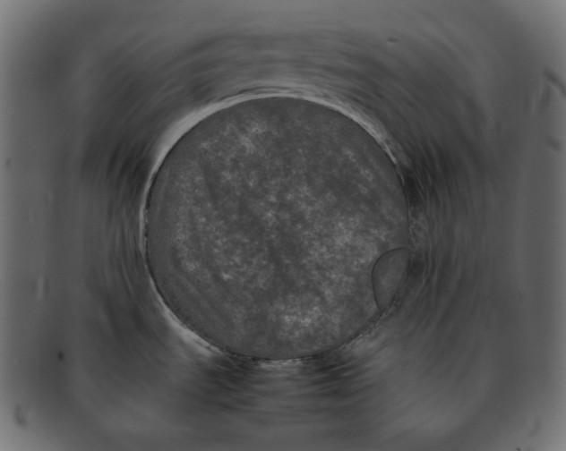 X0000092061535200710101025