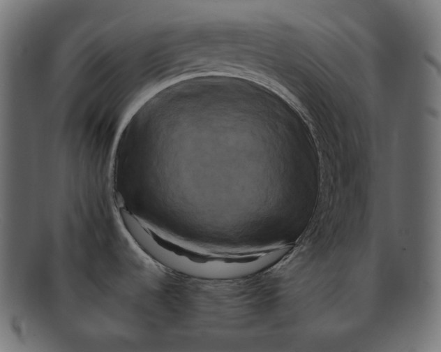 X0000092061536200710101025