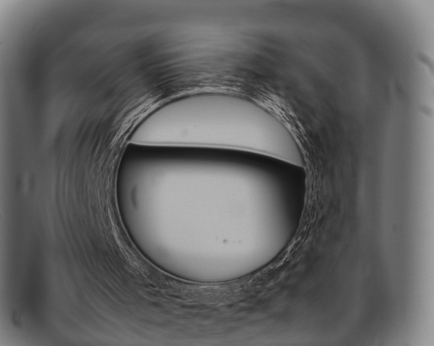X0000092070001200709121035
