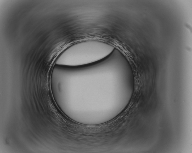 X0000092070002200709121035