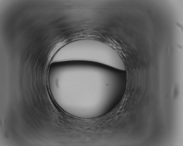 X0000092070003200709121035