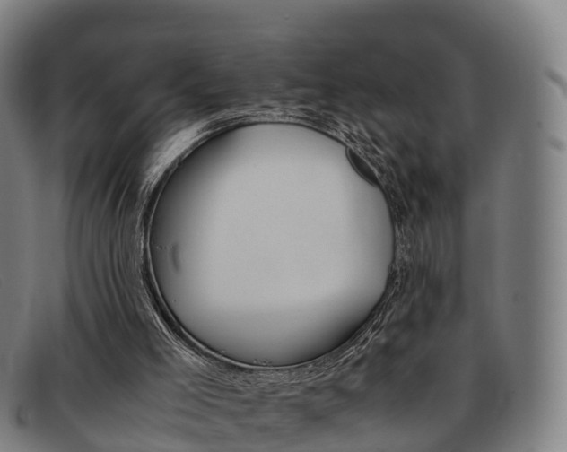 X0000092070005200709121035