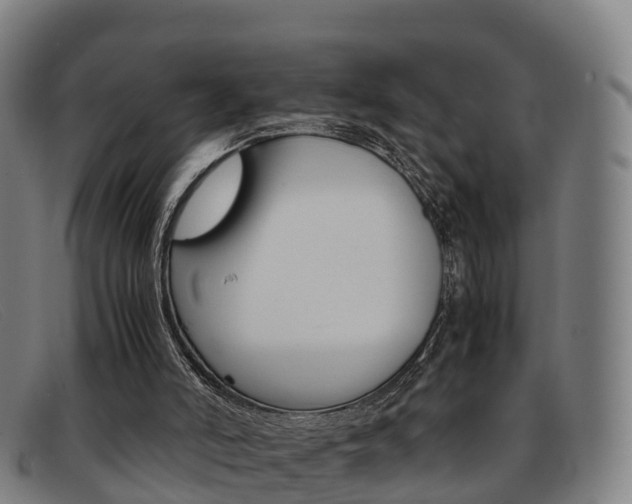 X0000092070006200709121035