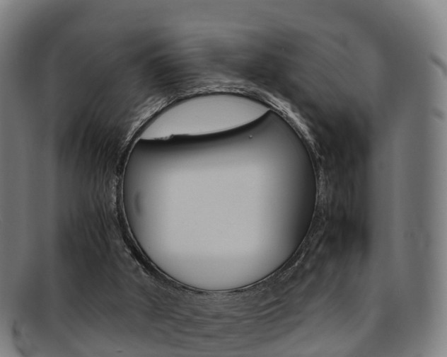 X0000092070010200709121034