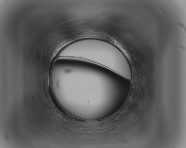 X0000092070011200709121034