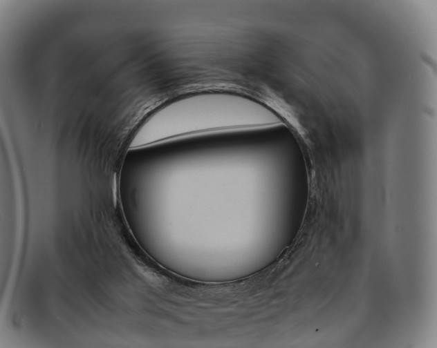 X0000092070013200709121034
