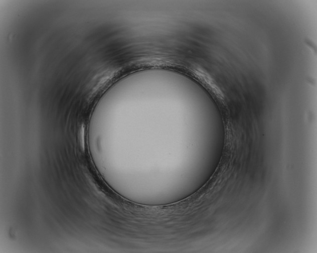 X0000092070014200709121034