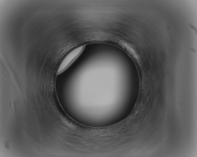 X0000092070017200709121034