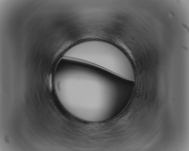X0000092070020200709121034