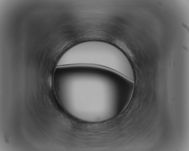 X0000092070021200709121034