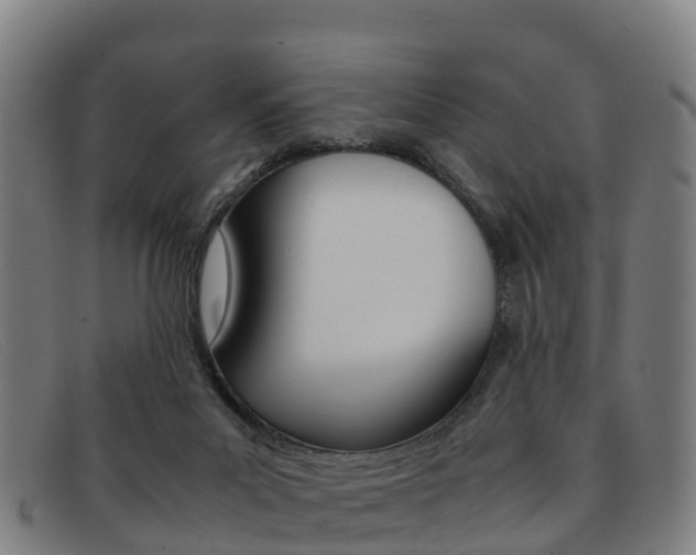 X0000092070023200709121034