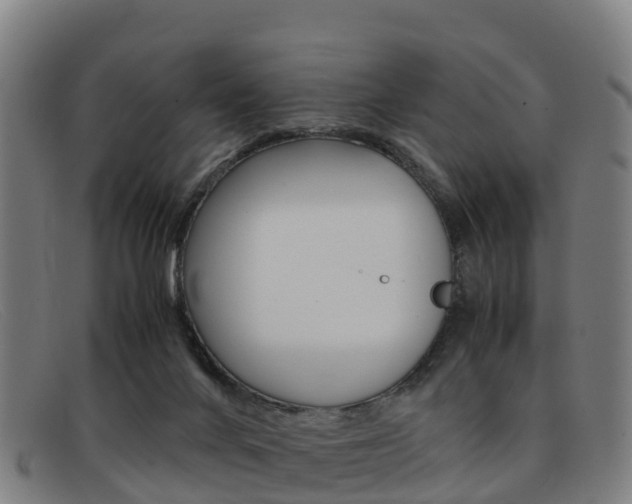 X0000092070024200709121034