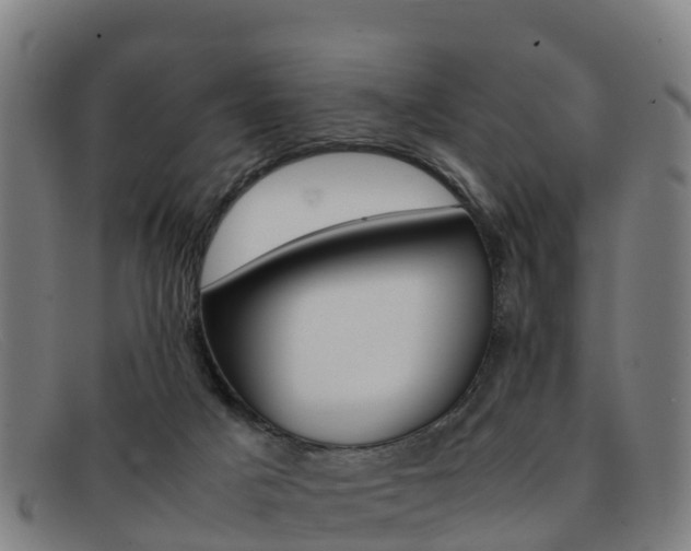 X0000092070025200709121034