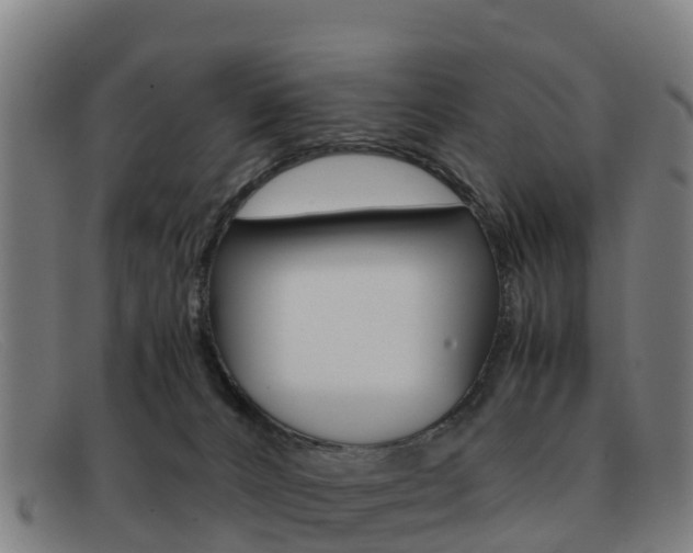 X0000092070032200709121034