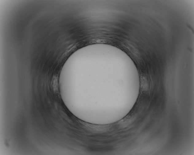 X0000092070036200709121034