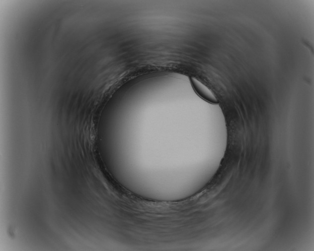 X0000092070040200709121034