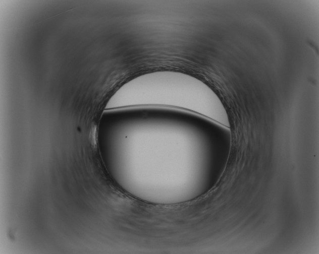 X0000092070041200709121034