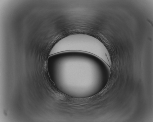 X0000092070045200709121034