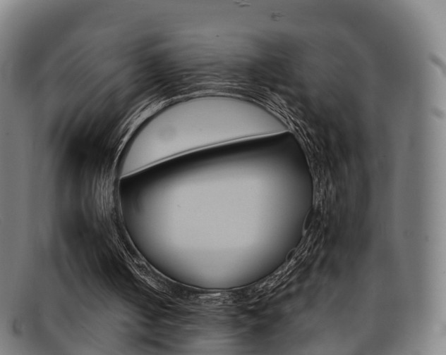 X0000092070050200709121033