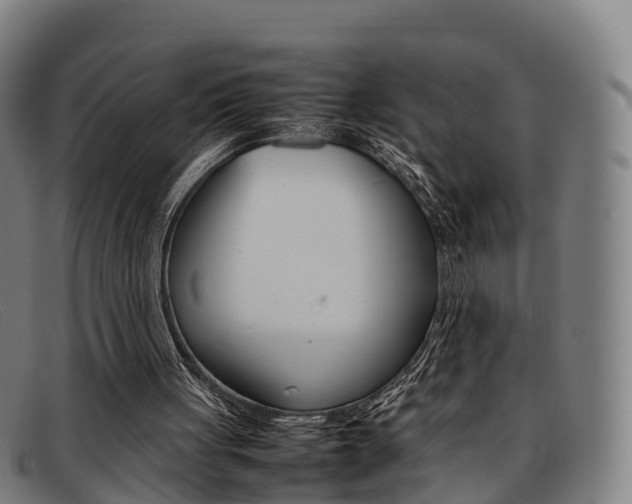 X0000092070051200709121033
