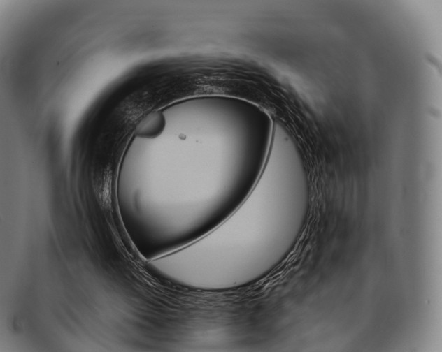 X0000092070052200709121033