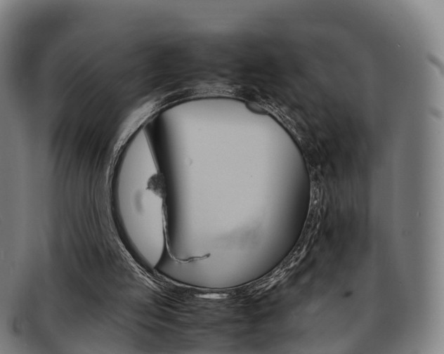 X0000092070053200709121033