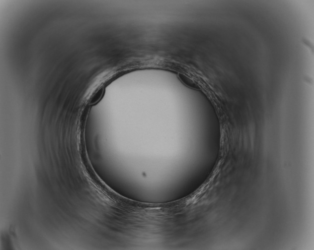 X0000092070054200709121034