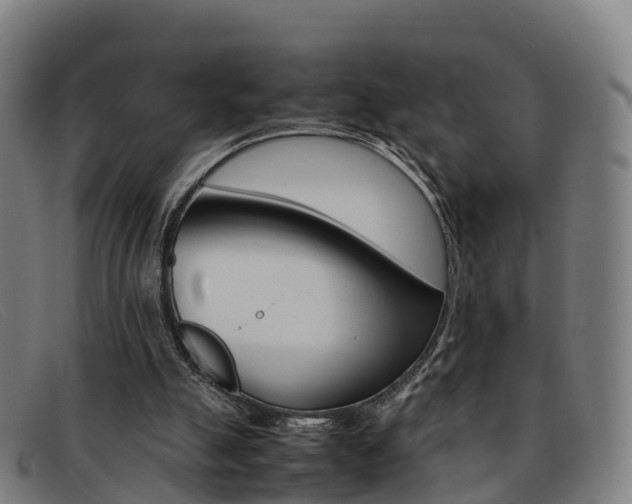 X0000092070055200709121034