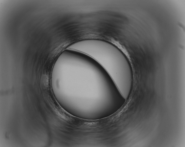 X0000092070057200709121034