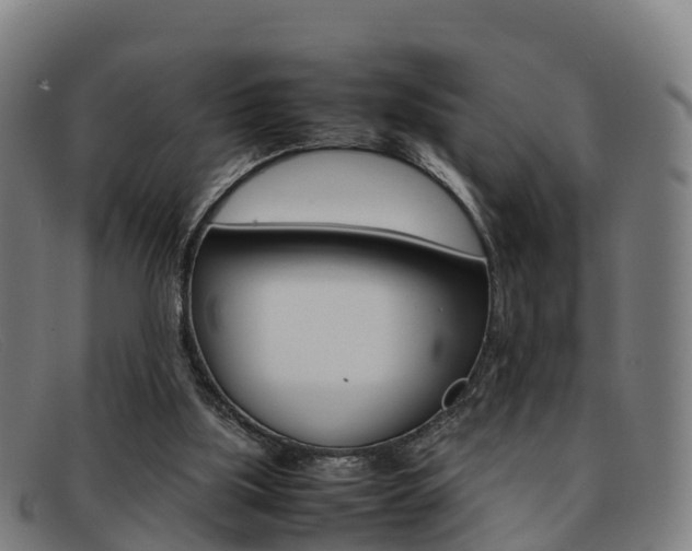 X0000092070059200709121034