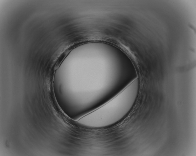 X0000092070060200709121034