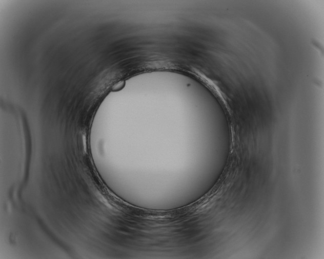 X0000092070061200709121034