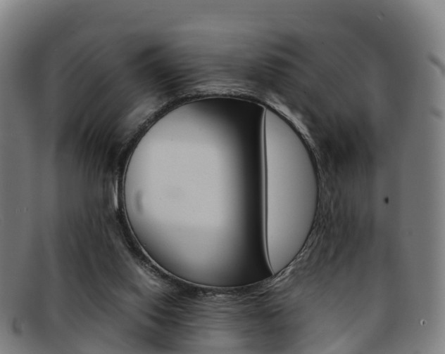 X0000092070062200709121034
