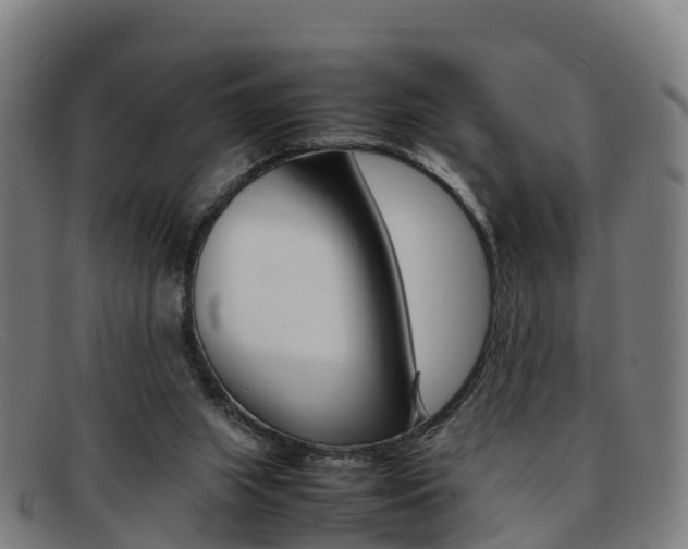 X0000092070063200709121034