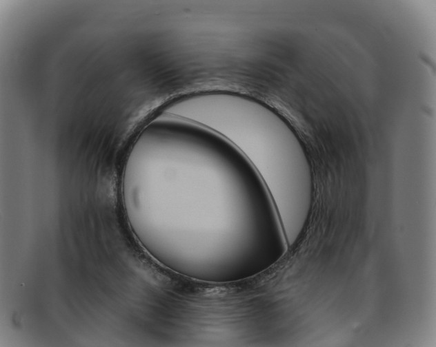 X0000092070064200709121034