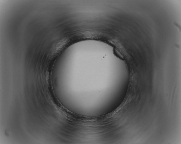 X0000092070066200709121034