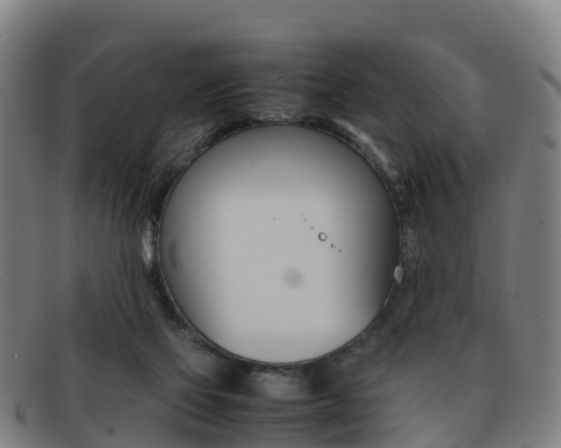 X0000092070069200709121034