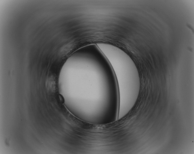 X0000092070080200709121034