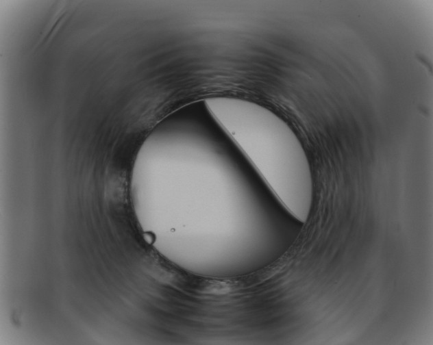X0000092070083200709121034